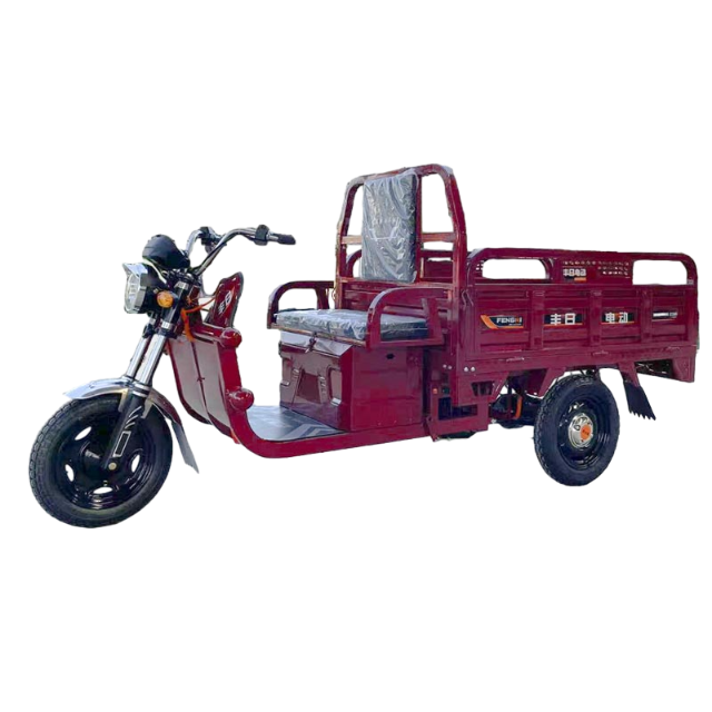 Güçlü Güç ile Dragon Serisi Elektrikli Kargo Üç Tekerlekli Bisiklet